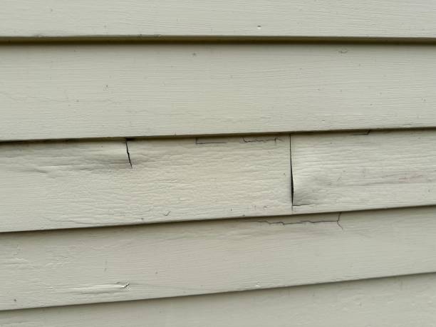 Best Hoarding Cleanup  in Kgsford Heights, IN