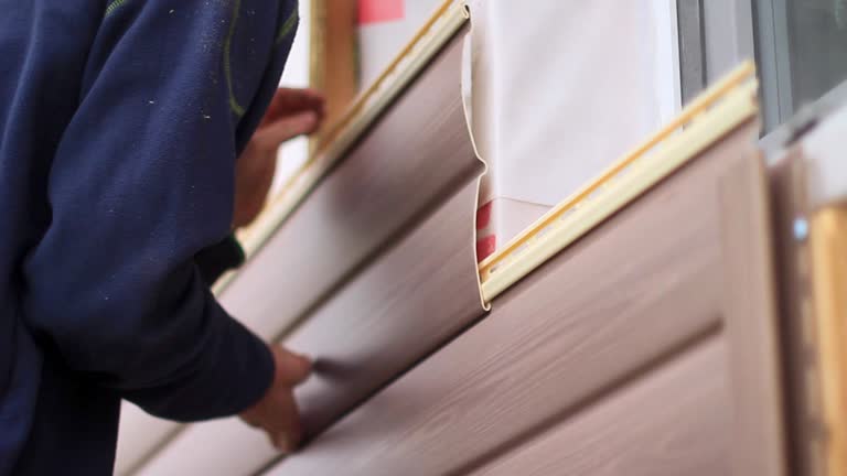 Best Shed Removal  in Kgsford Heights, IN